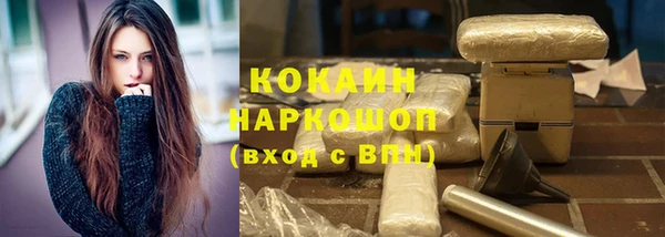 бошки Алексин