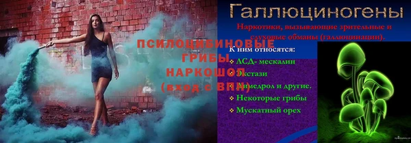 бошки Алексин
