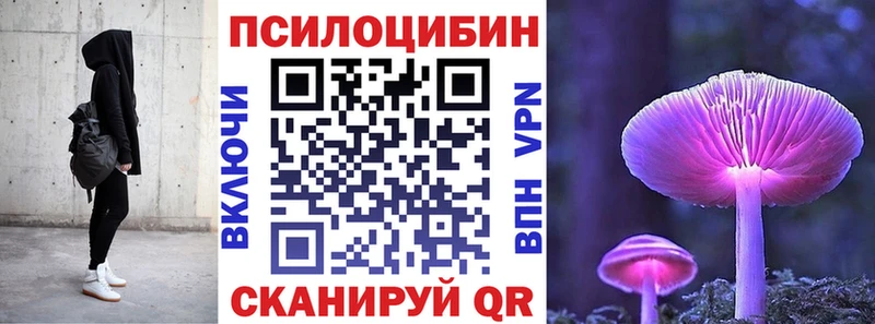 OMG tor Раменское Галлюциногенные грибы мицелий