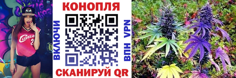 Каннабис гибрид  где можно купить   Раменское 